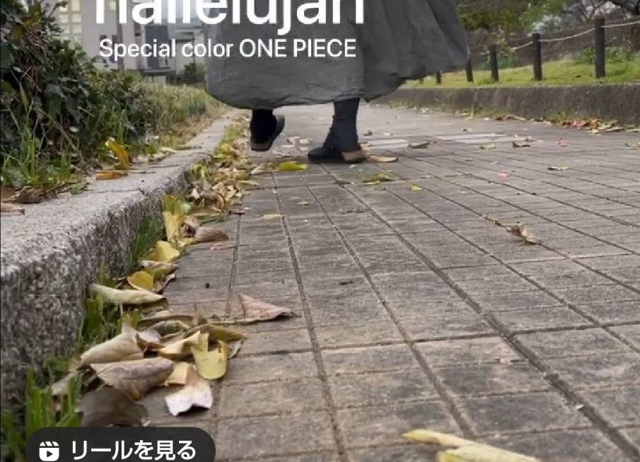 今日の特集は！hallelujahワンピース